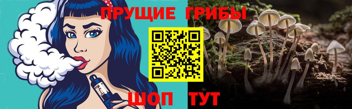 Братск  Галлюциногенные грибы ЛСД  Вход с VPN 